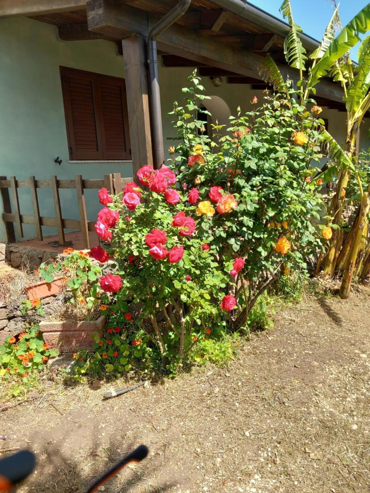 Agriturismo Su Tiresi Cala Gonone Exteriér fotografie